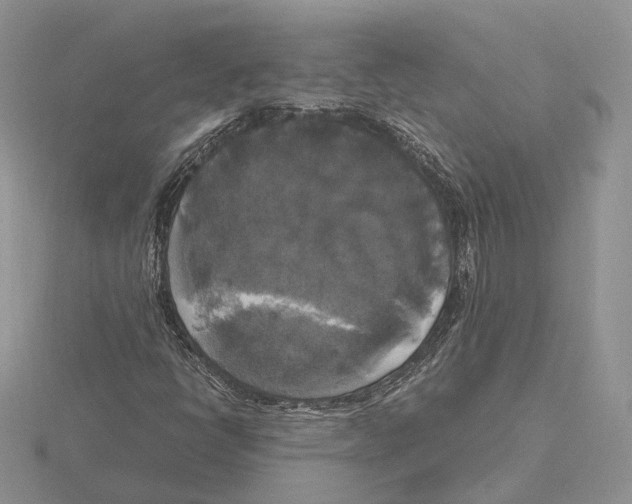 X0000115661398200912101042