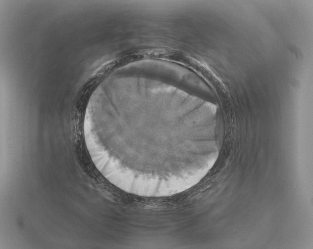 X0000115661399200912101042