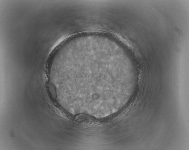 X0000115661400200912101042