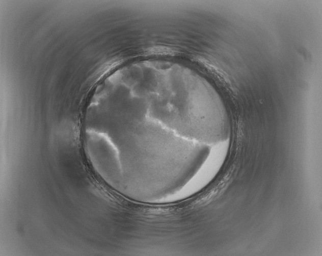 X0000115661401200912101042