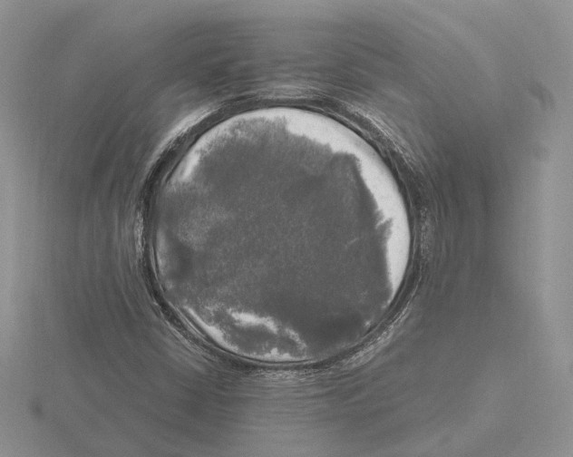 X0000115661402200912101042