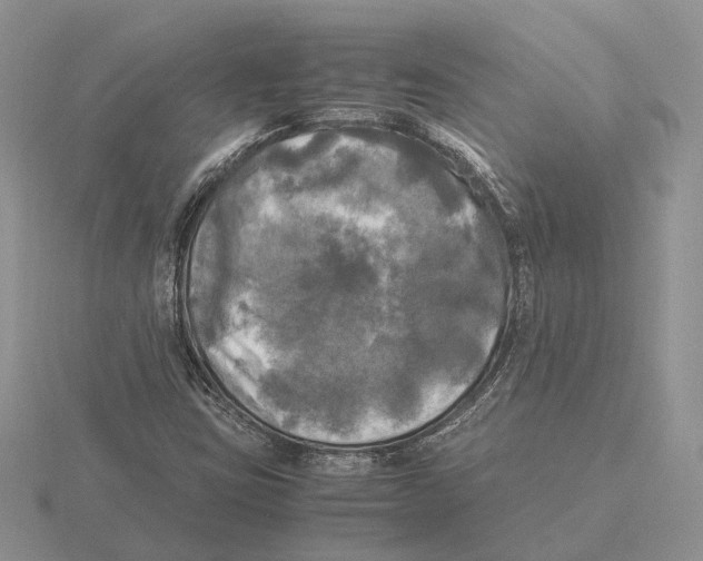 X0000115661403200912101042