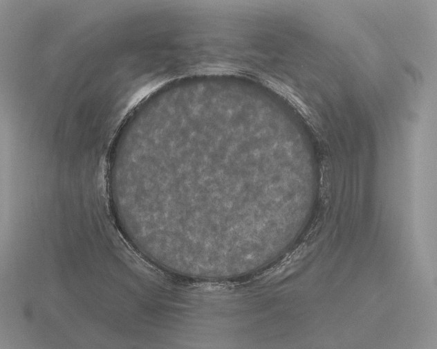 X0000115661404200912101042