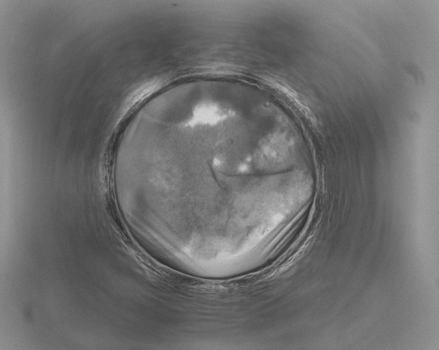 X0000115661405200912101042