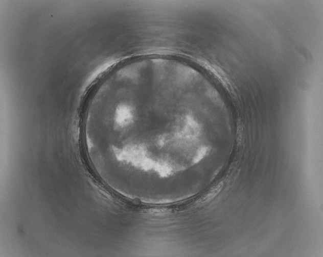 X0000115661406200912101042