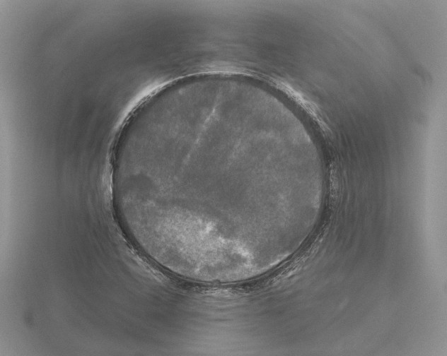 X0000115661408200912101042