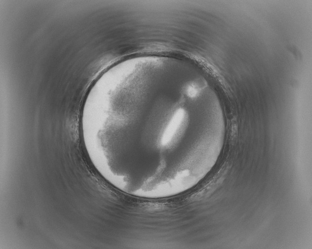 X0000115661409200912101042