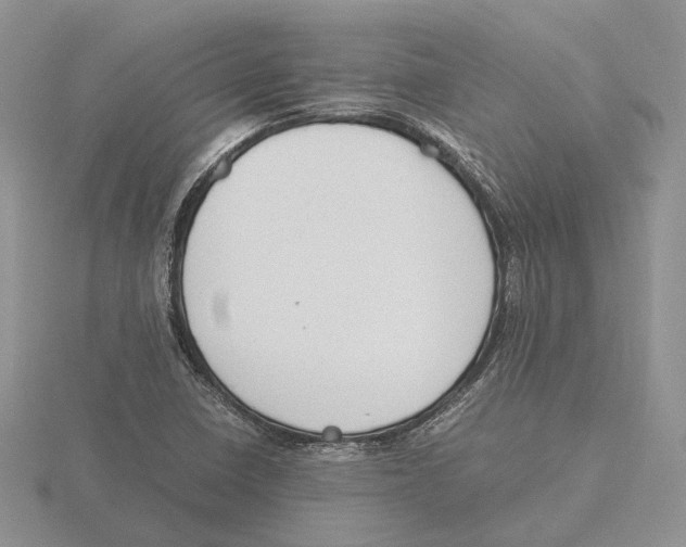 X0000115661410200912101042