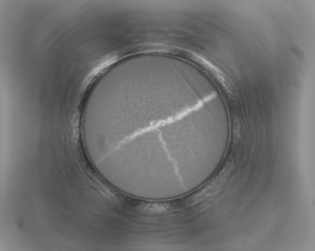 X0000115661411200912101042