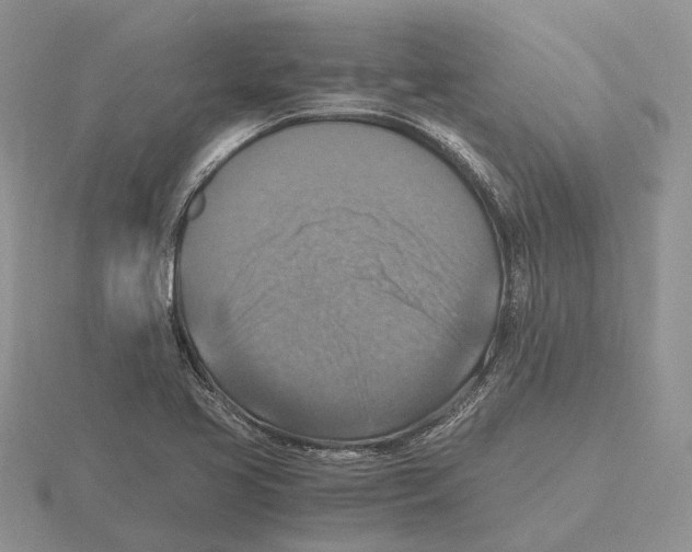 X0000115661413200912101042