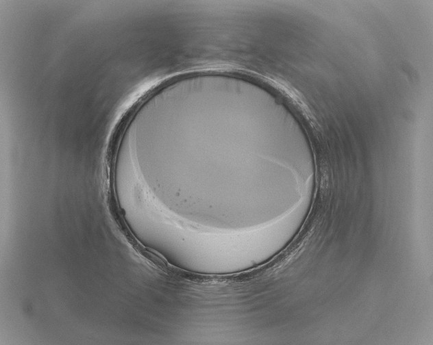 X0000115661414200912101042