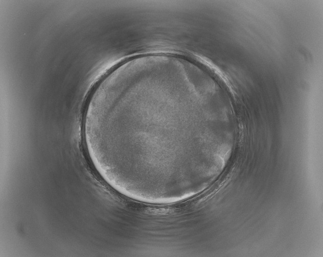 X0000115661415200912101042