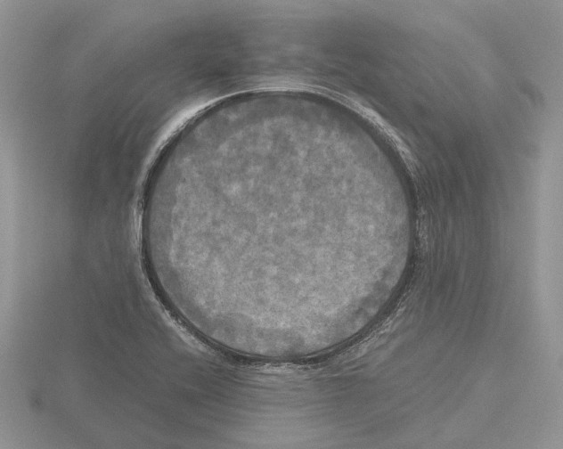 X0000115661416200912101042