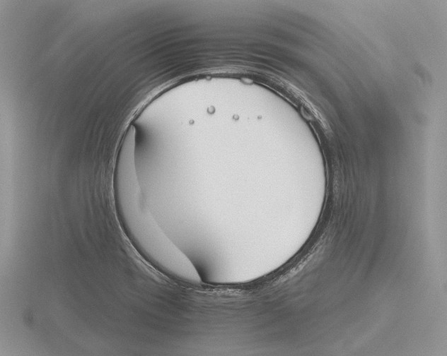 X0000115661417200912101042