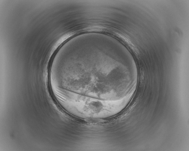 X0000115661418200912101042