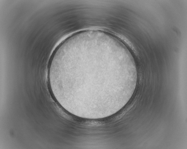 X0000115661420200912101042