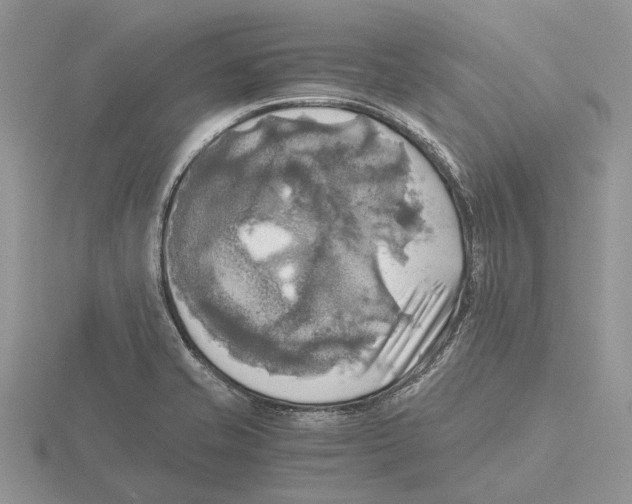 X0000115661421200912101042