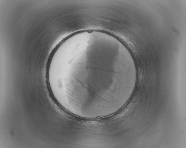 X0000115661422200912101042