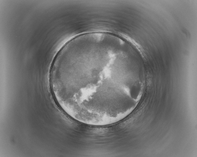 X0000115661423200912101042