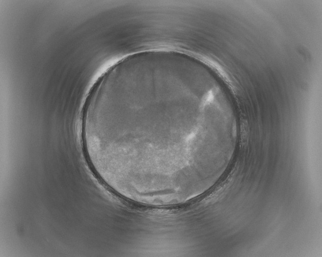 X0000115661424200912101042