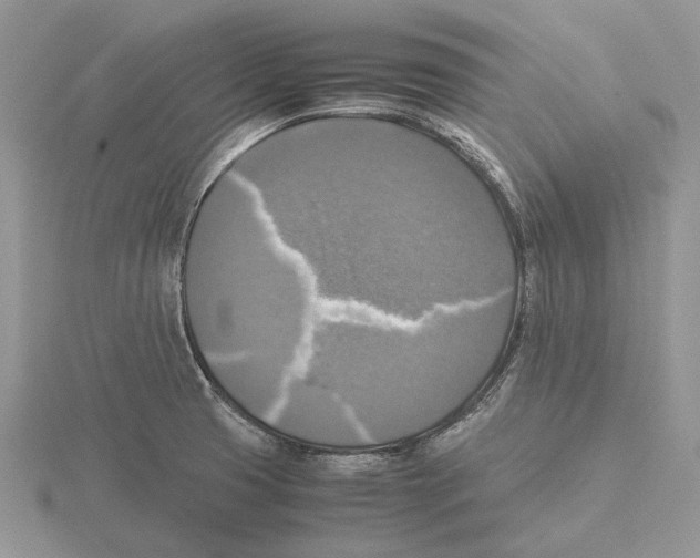 X0000115661425200912101042