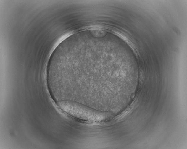 X0000115661426200912101042