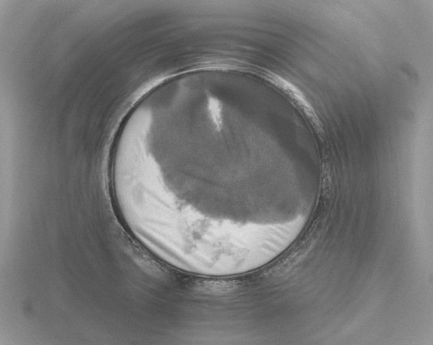 X0000115661427200912101042