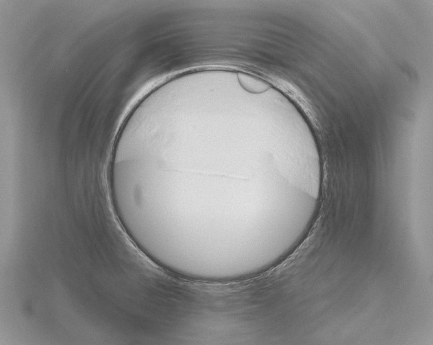 X0000115661428200912101042