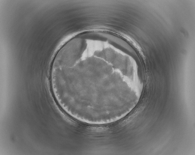 X0000115661429200912101042