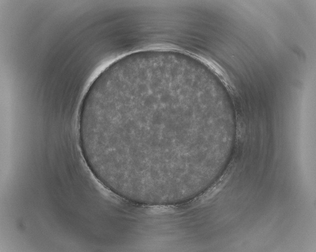 X0000115661430200912101042