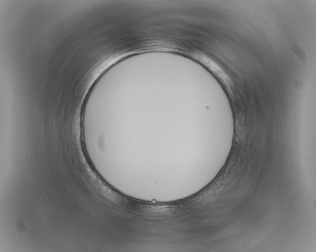 X0000115661431200912101042