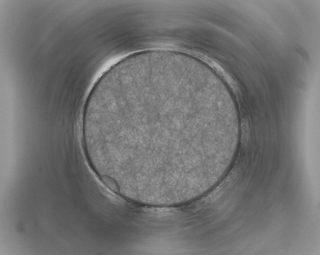 X0000115661432200912101042