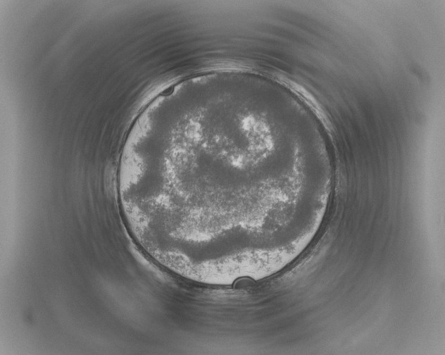 X0000115661433200912101042