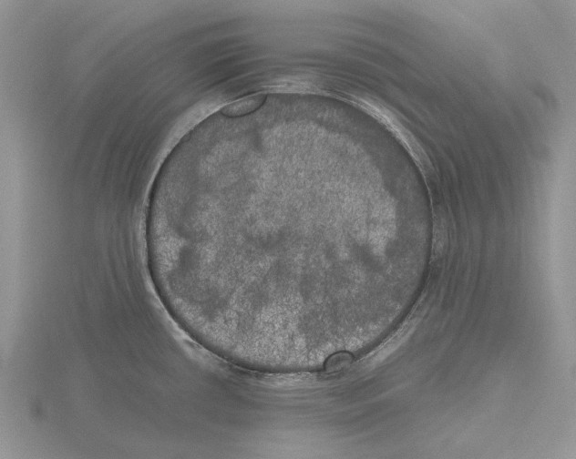 X0000115661434200912101042