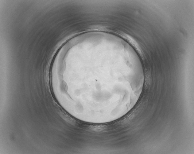 X0000115661435200912101042