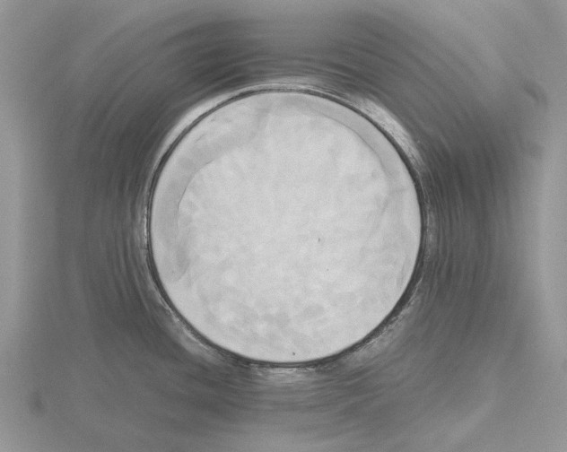 X0000115661436200912101042