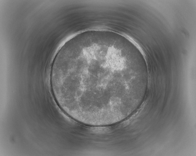 X0000115661437200912101042