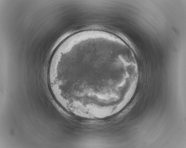 X0000115661438200912101042