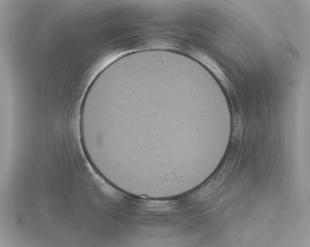 X0000115661439200912101042