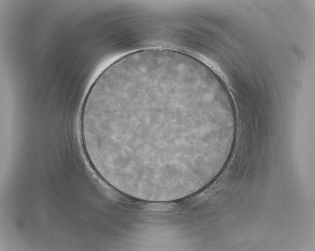 X0000115661440200912101042