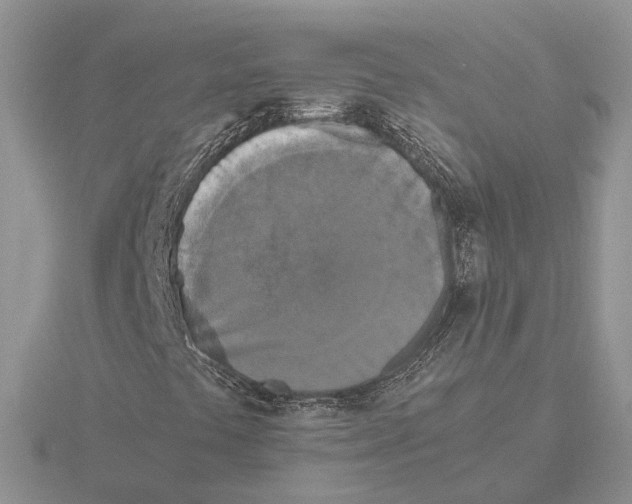 X0000115661441200912101041