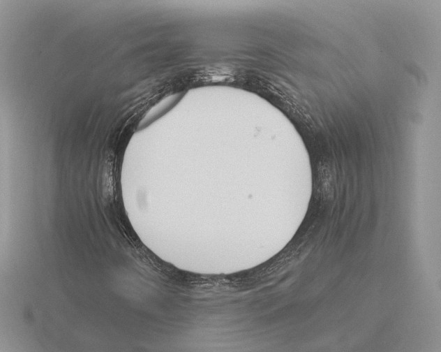 X0000115661442200912101041