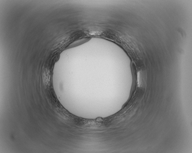 X0000115661443200912101041