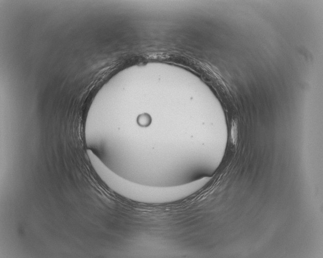 X0000115661444200912101041