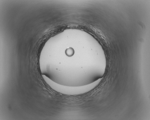 X0000115661445200912101041