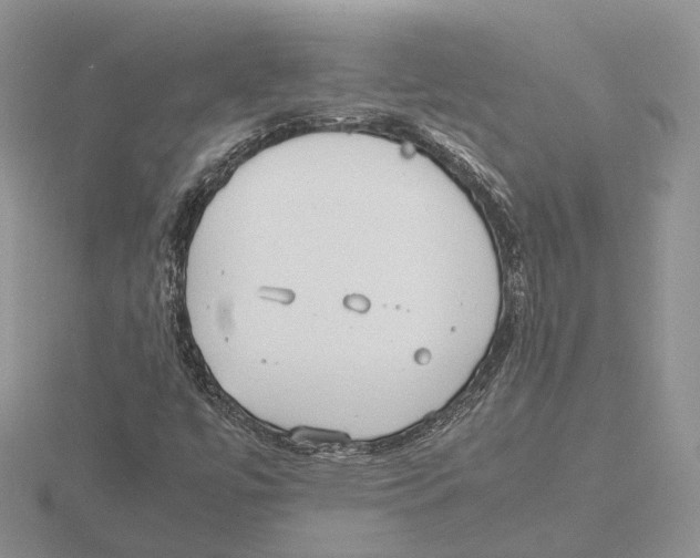 X0000115661447200912101041