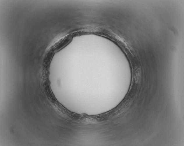 X0000115661448200912101041