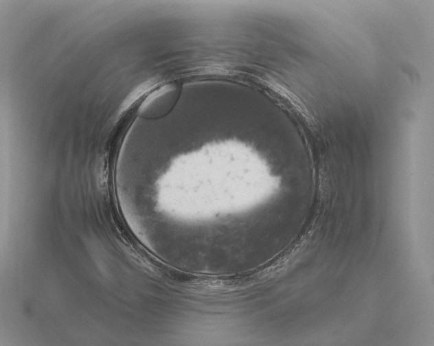 X0000115661450200912101041