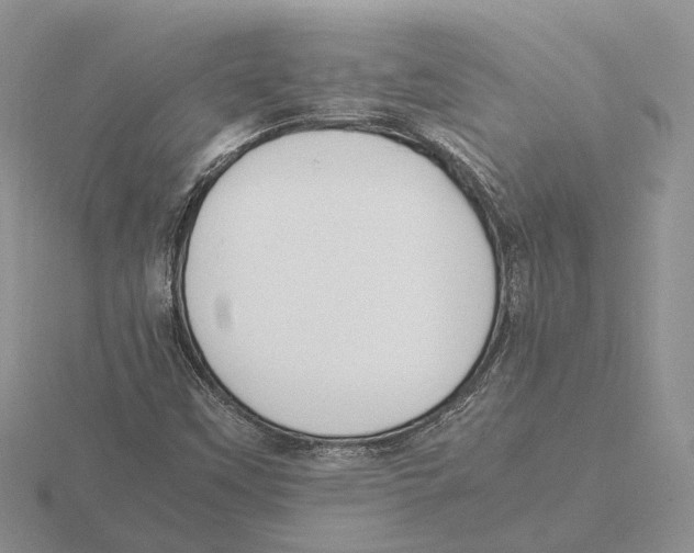 X0000115661451200912101041