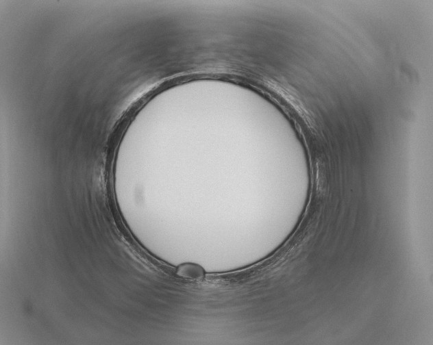 X0000115661452200912101041